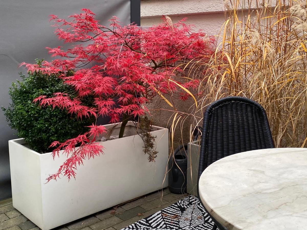 Como Design-Apartment Close To Isar River Area - Centrally Located Munich Exterior photo