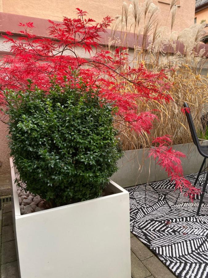 Como Design-Apartment Close To Isar River Area - Centrally Located Munich Exterior photo